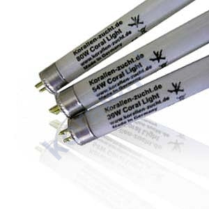 Korallen Zutch Zeovit: T5 Coral Light