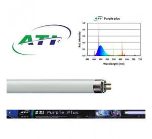 Ati: T5 - Purple Plus