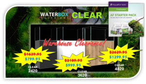Waterbox Aquariums: RS Waterbox CLEAR 4820 Kit