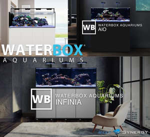 Waterbox Aquariums: RS Waterbox INFINIA 230.6 Reef +PLUS Kit
