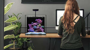 Waterbox Aquariums: Waterbox CUBE