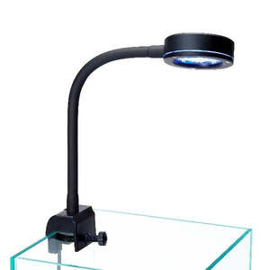 Reef Breeders: ReefBreeders Pico LED Reef