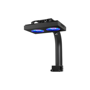 Nicrew: NICREW HyperReef 100 Gen 2