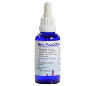Korallen Zutch Zeovit: Stylo Pocci Glow
