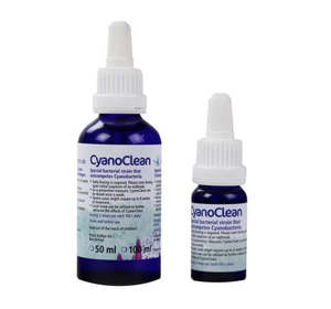 Korallen Zutch Zeovit: CyanoClean