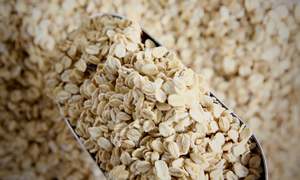 Cereals: Organic Quick Cook Oats