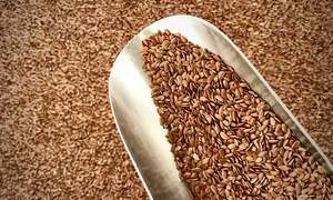 Cereals: Organic Flaxseed