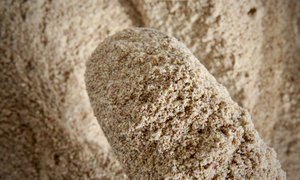 Cereals: LSA