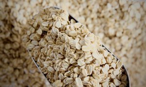 Organic Rolled Oats
