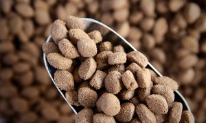 Pet: Dog Food, Complete