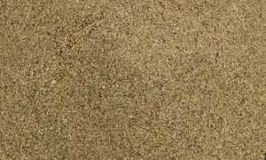 NZ Kelp Powder