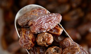 Medjool Dates (With Pits)