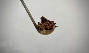 Star Anise