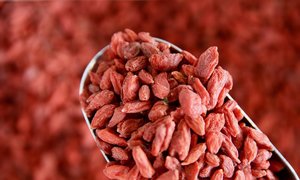 Organic Goji Berries