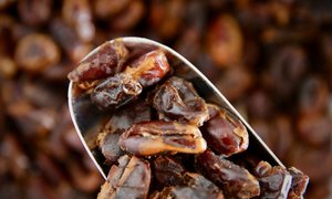Pitted Dates