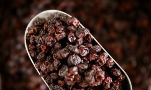 Dried Fruit Nuts: Organic Raisins