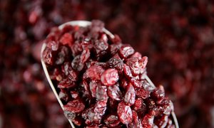 Dried Fruit Nuts: Cranberries