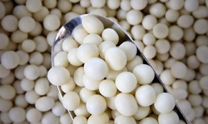 Yoghurt Raisins