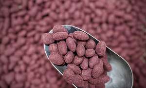 Raspberry & Dark Chocolate Almonds