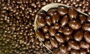 Dark Chocolate Goji Berries