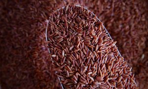 Pasta: Organic Red Rice