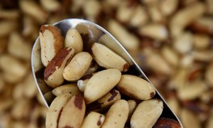 Nuts: Natural Brazil Nuts