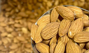 Organic Natural Almonds