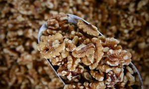 Nuts: Organic Walnuts