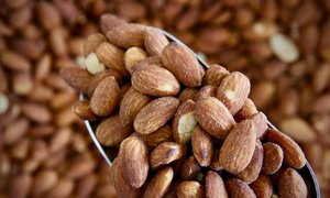 Nuts: Almonds, Roasted & Salted