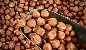 Nuts: Natural Hazelnuts