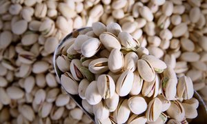 Nuts: Pistachios