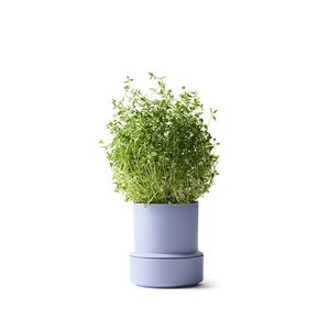 Household: SELF WATERING POT-LAVENDER