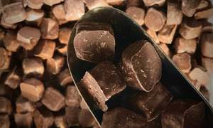Easter: Chocolate Covered Hokey Pokey