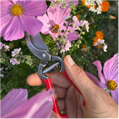 Sustainable Cleaning: Red Gardening Pruners