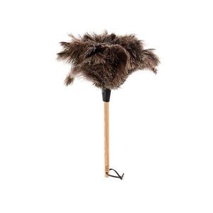 Sustainable Cleaning: Feather Duster