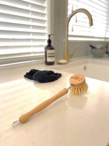 Kitchen Cleaning: Little Green Dish Brush & Handle