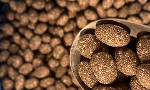 Snacks: Good Gut Chia Coated Dark Chocolate Almonds