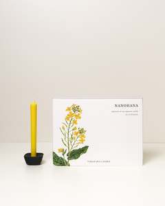 NANOHANA Candle - Canola Flower (Set of 24)
