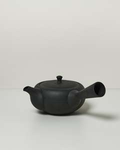 Flat Japanese Teapot with Side Handle