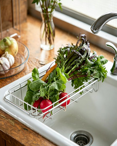Japanese Stainless Steel Extendable Sink Dish Rack