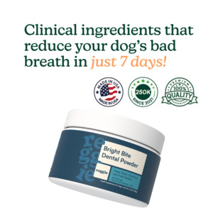 Bright Bite Dental Powder