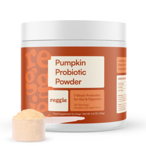 Pumpkin Probiotic Powder