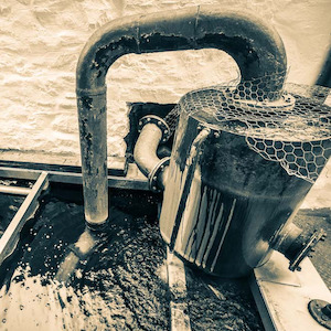 Worm tubs with Daniel Bruce McLaren - Friday 24 October, 6pm, $80