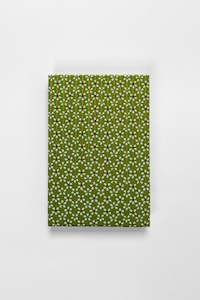 All: Shogado Folding Notebook - Yuzen Green
