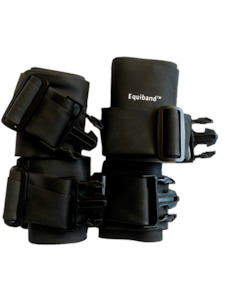 Additional Equiband® Set Equine Physio NZ