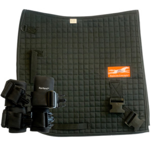 Products: Complete Equiband® System Equine Physio NZ