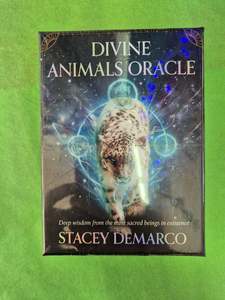 Divine Animals Oracle - Stacey Demarco