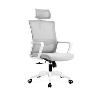 Office Chair: FlexBack Elite Mesh Office Chair – High Back Ergonomic Comfort