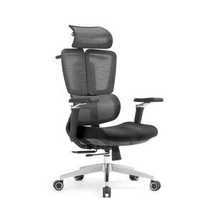 Office Chair: Premium Ergonomic Mesh Office Chair – High Back, Breathable, Home & Office Use