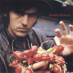 CD: HITCHCOCK ROBYN-INVISIBLE HITCHCOCK CD NM